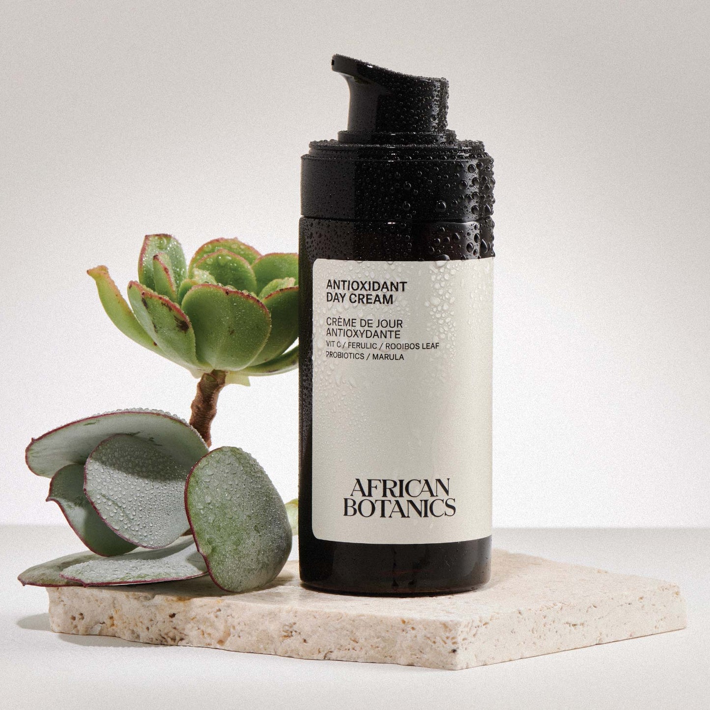 Antioxidant Day Cream
