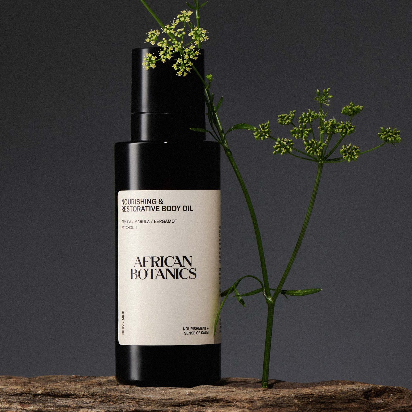 Nourishing & Restorative Body Oil