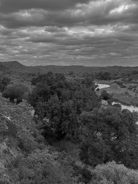 The Marula Belt