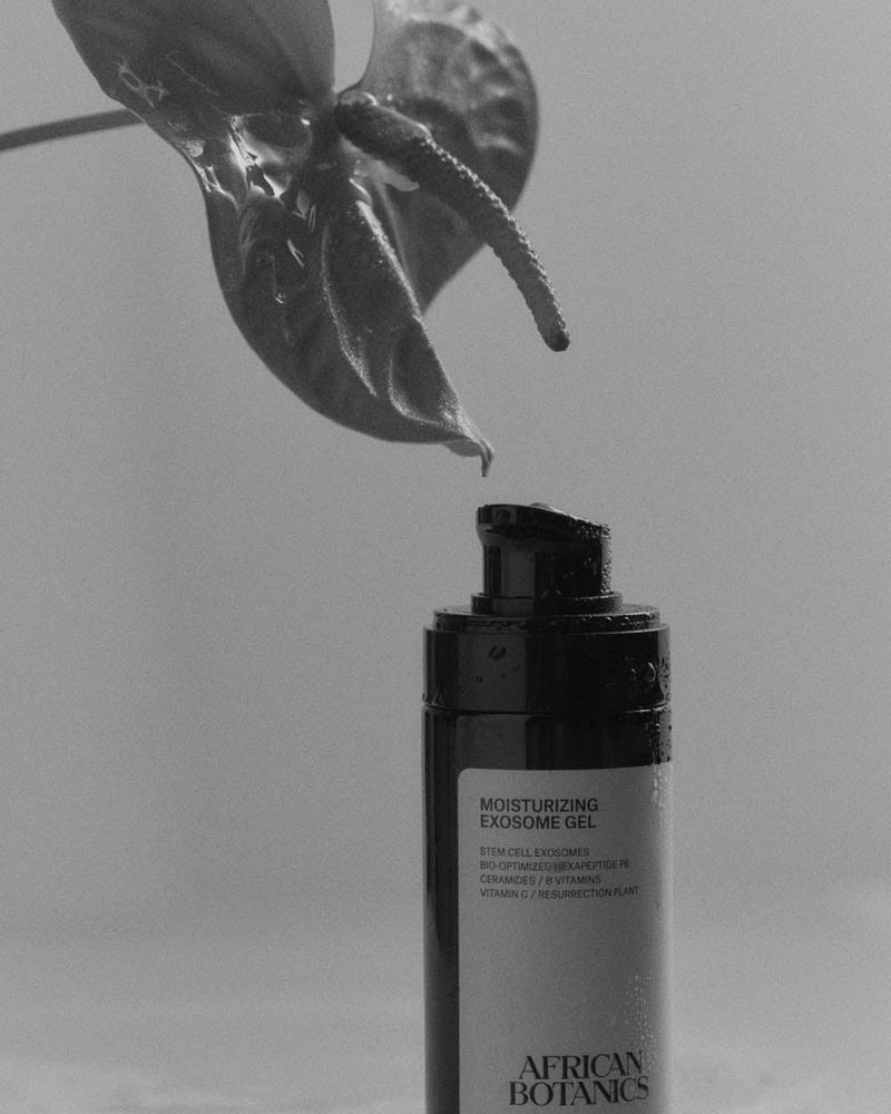 On Exosomes — The Cellular Communication System Behind Modern Skincare