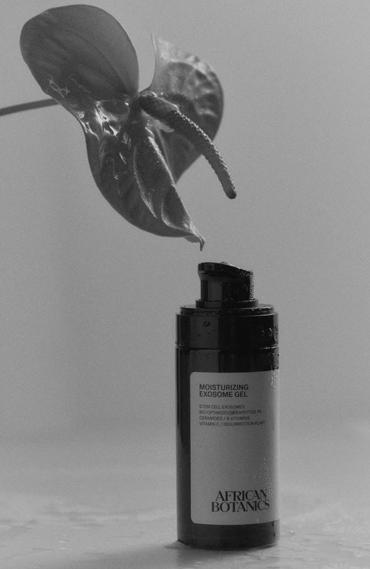 On Exosomes — The Cellular Communication System Behind Modern Skincare