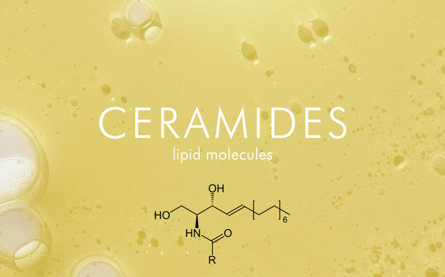 Ceramides in Skincare: Reparative and Barrier-boosting