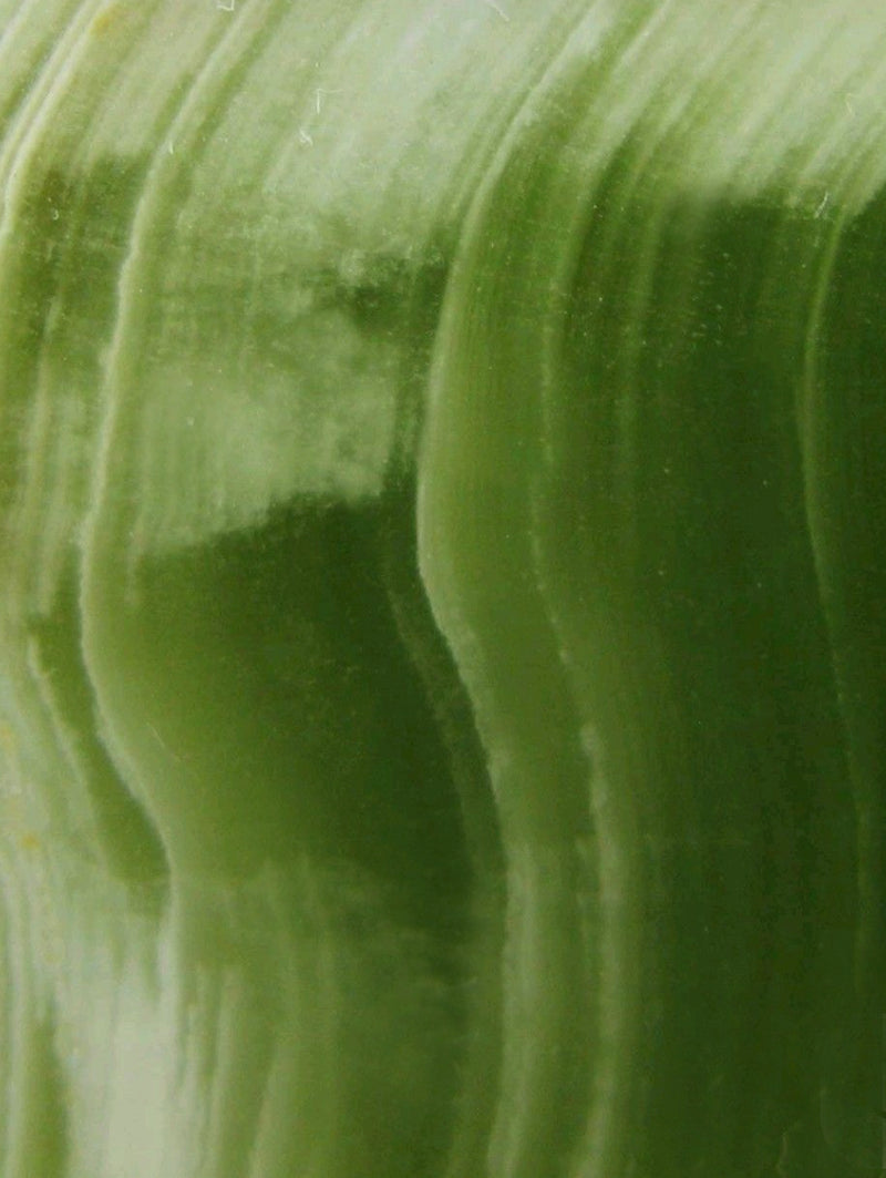 Aloe Ferox