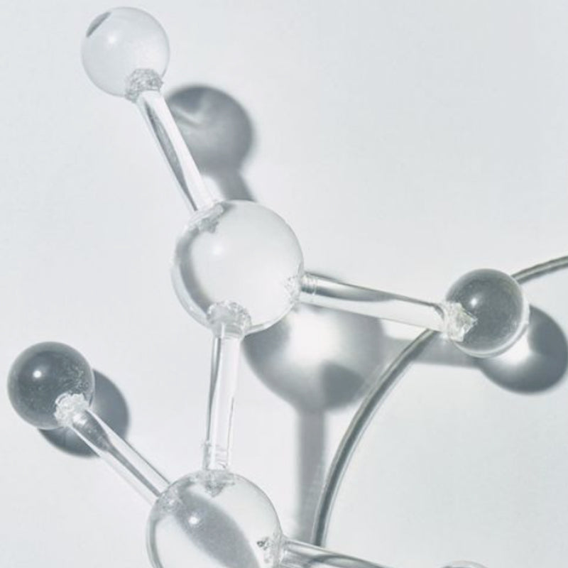 Signal Peptides