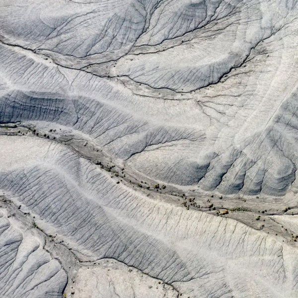 BIO-ADAPTIVE MINERAL NETWORK