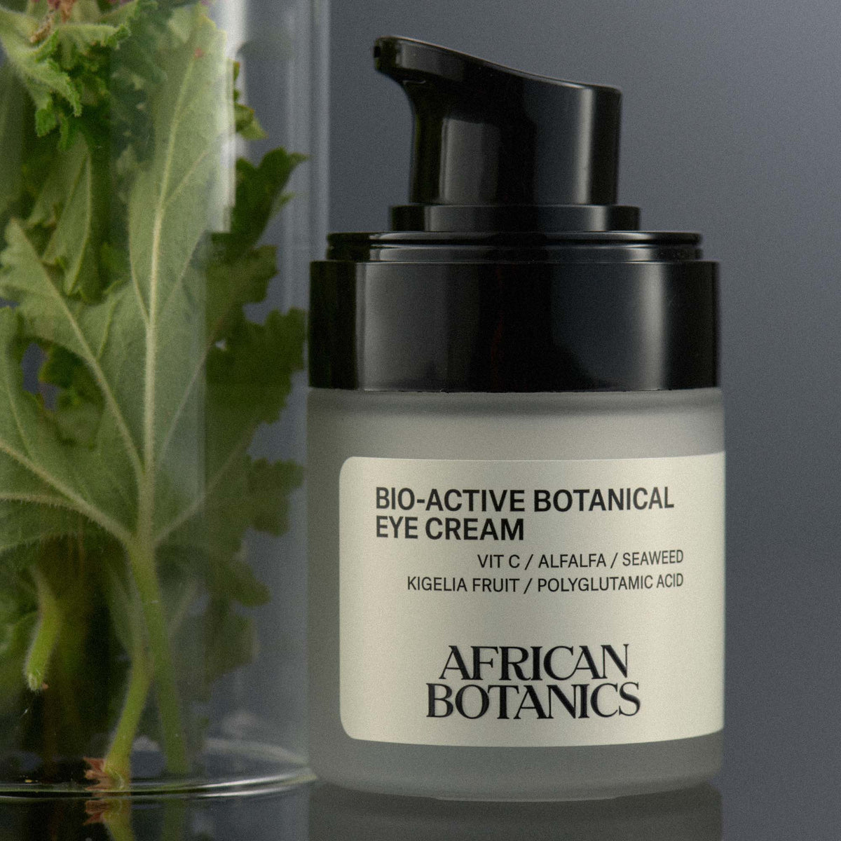 Bio-Active Botanical Eye Cream – African Botanics Inc