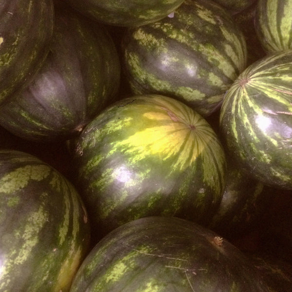 ANTIOXIDANT DEFENSE