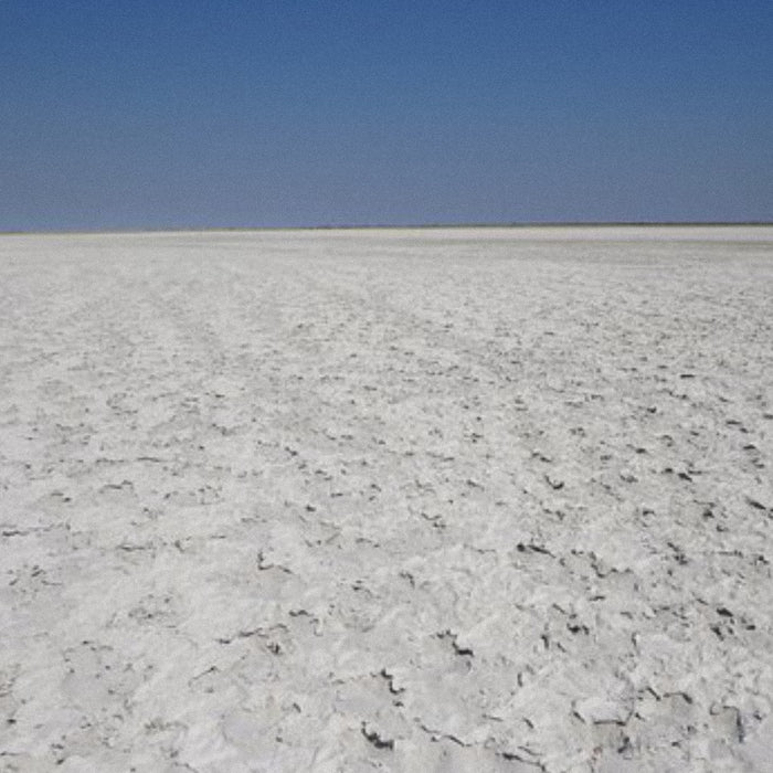 Kalahari Salt