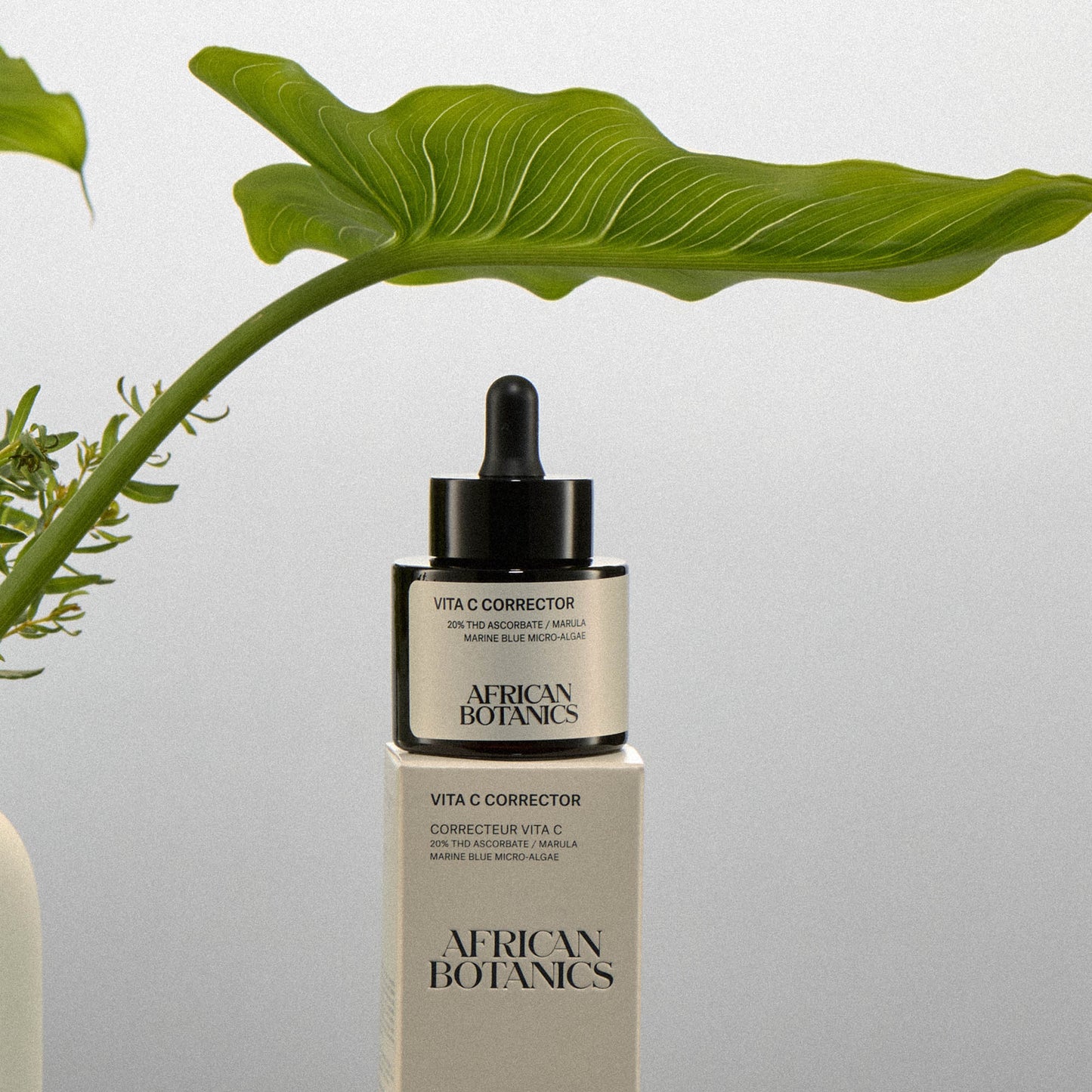 Vita C Corrector