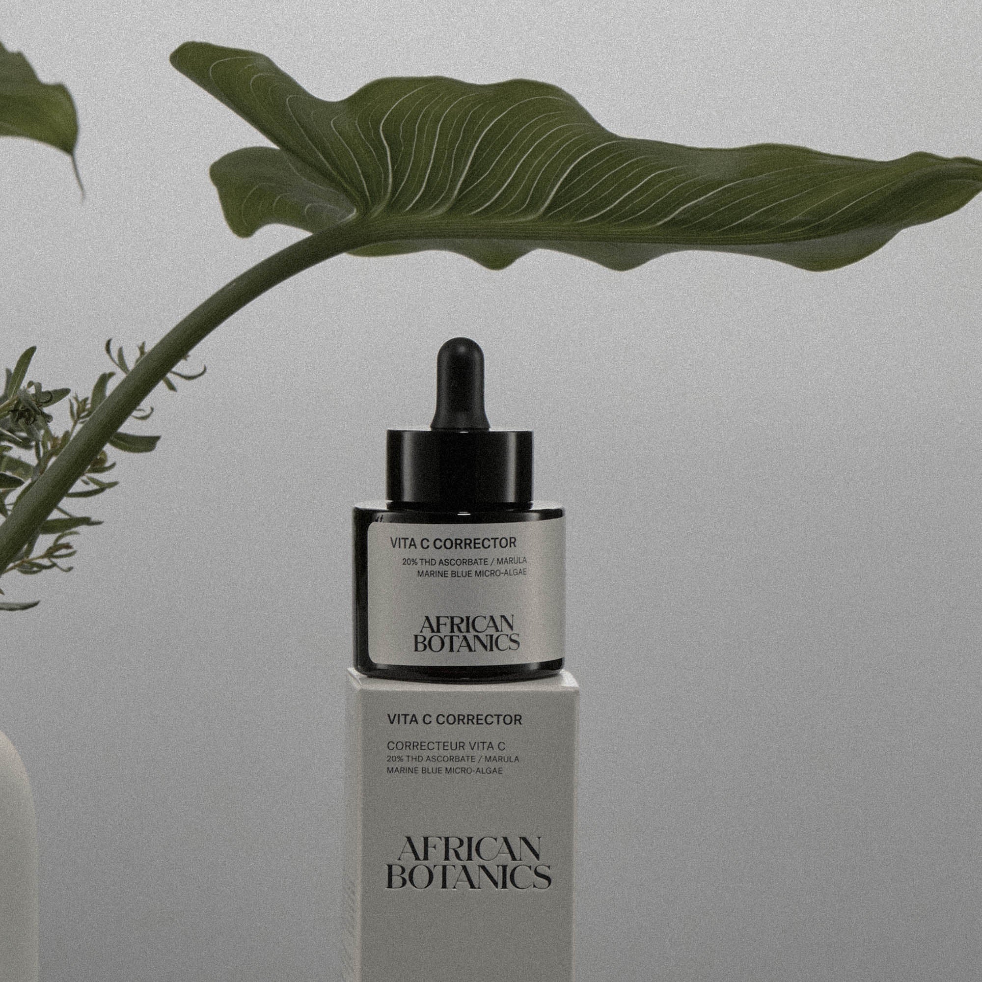 Vita C Corrector | 20% THD Vitamin C Serum – African Botanics Inc