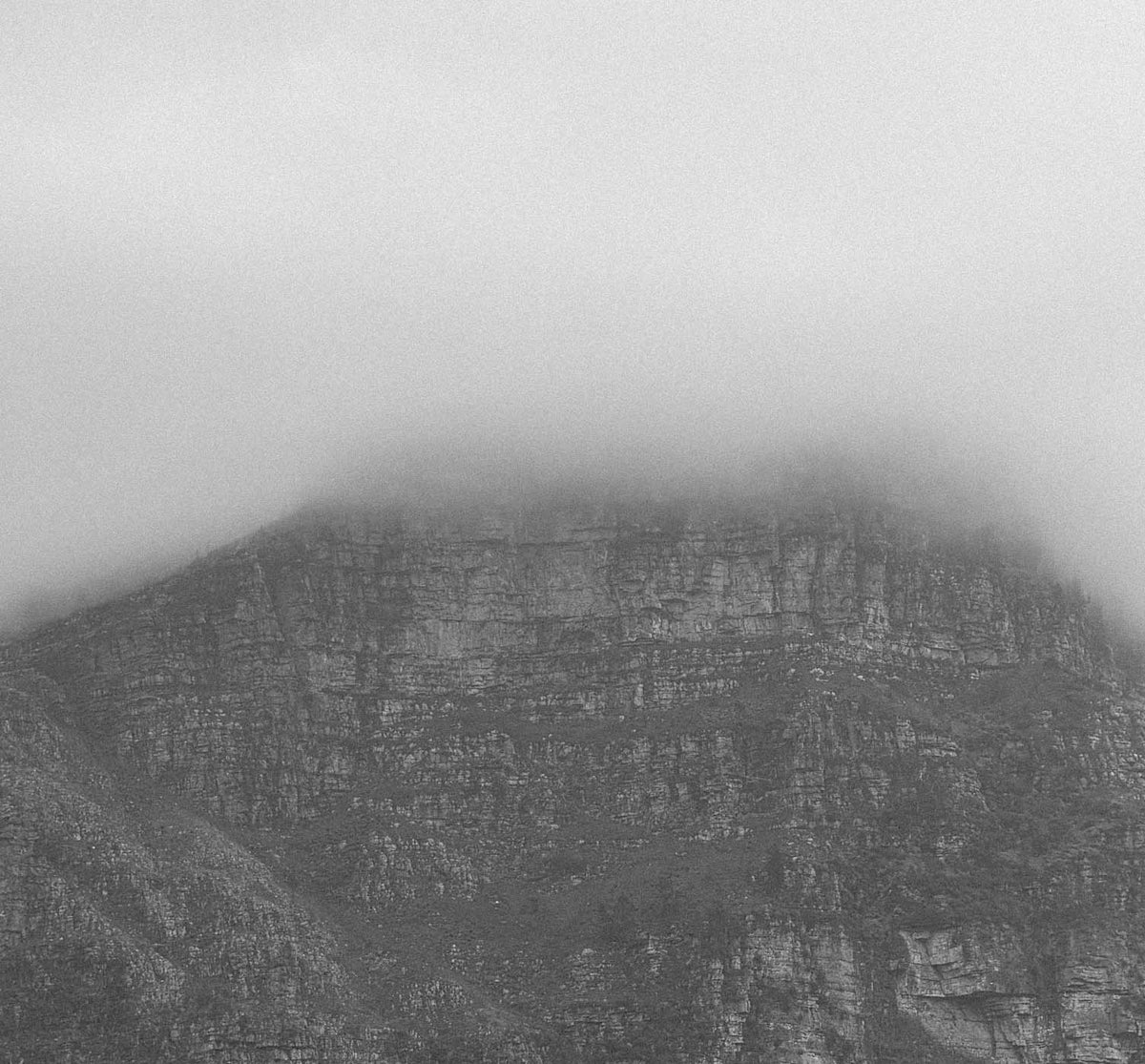 Table Mountain landscape in South Africa, source of African Botanics inspiration